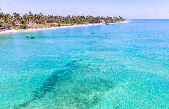 Excursão privada a Maragogi - Foto 4