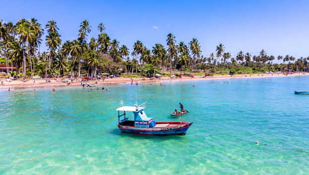 Excursão privada a Maragogi - Foto 2