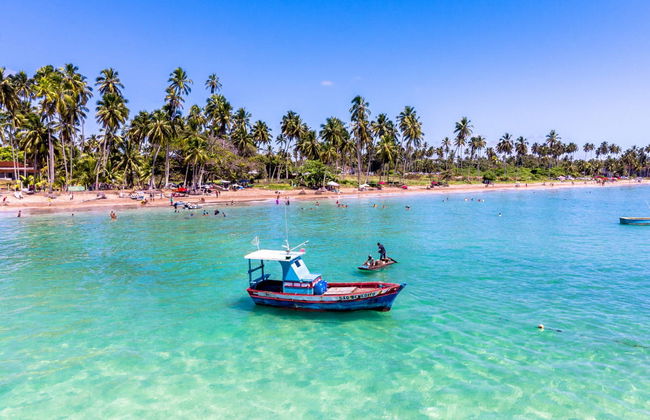 Excursão privada a Maragogi - Foto 2