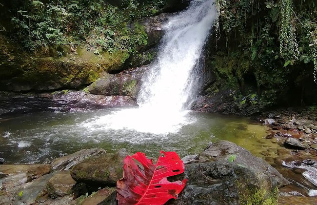 Trekking alla cascata di La Plata - Foto 5