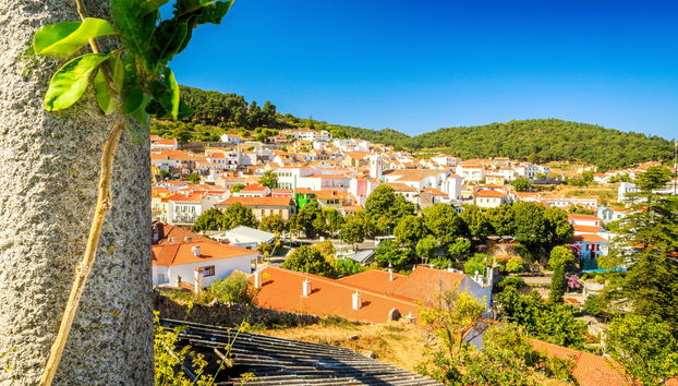 Tour en 4x4 por Monchique y lago Bravura - Foto 5
