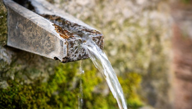 Algarve Mountain Jeep Tour - Foto 5