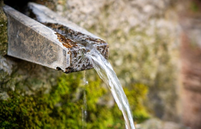 Tour en 4x4 por Monchique y lago Bravura - Foto 5