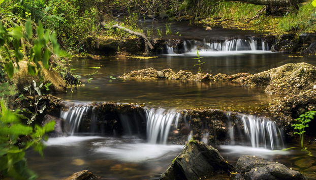 Tour en 4x4 por Monchique y lago Bravura - Foto 3