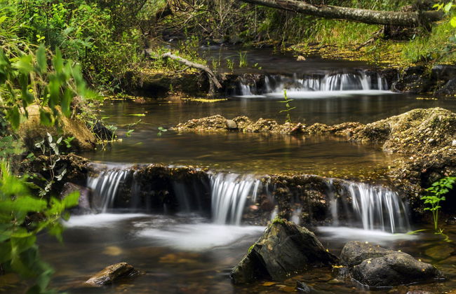 Monchique Mountains & Bravura Lake Jeep Tour - Photo 3