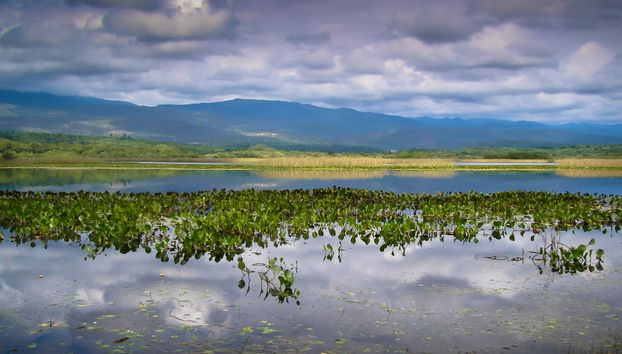 Marimbus Pantanal + Roncador River Tour - Photo 2