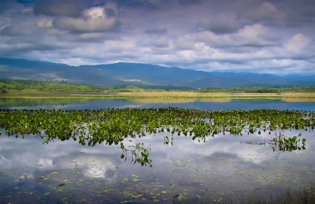 Marimbus Pantanal + Roncador River Tour - Photo 2