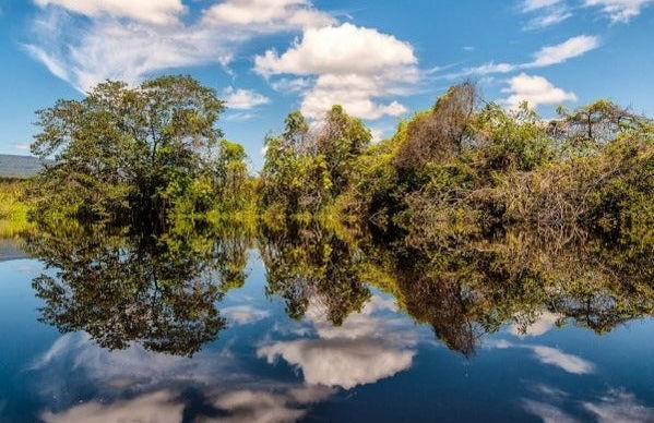 Marimbus Pantanal + Roncador River Tour - Photo 6