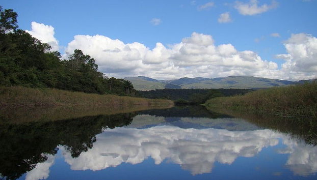 Marimbus Pantanal + Roncador River Tour - Photo 3