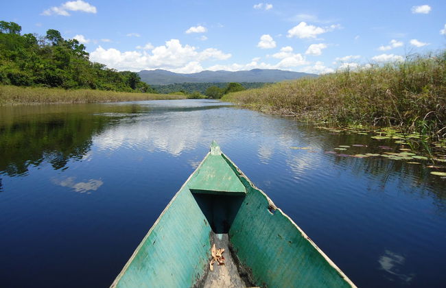 Marimbus Pantanal + Roncador River Tour - Photo 1