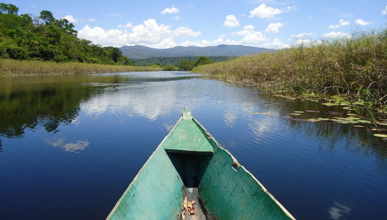 Marimbus Pantanal + Roncador River Tour - Photo 1