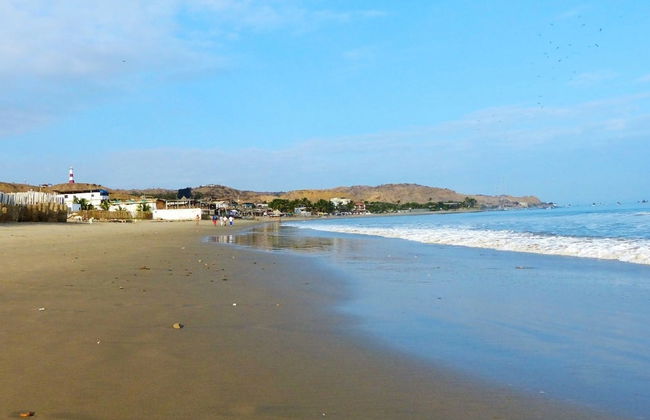 Whale Watching in Mancora - Foto 6