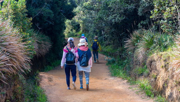 Excursão privada ao Parque Nacional das Planícies de Horton - Foto 5