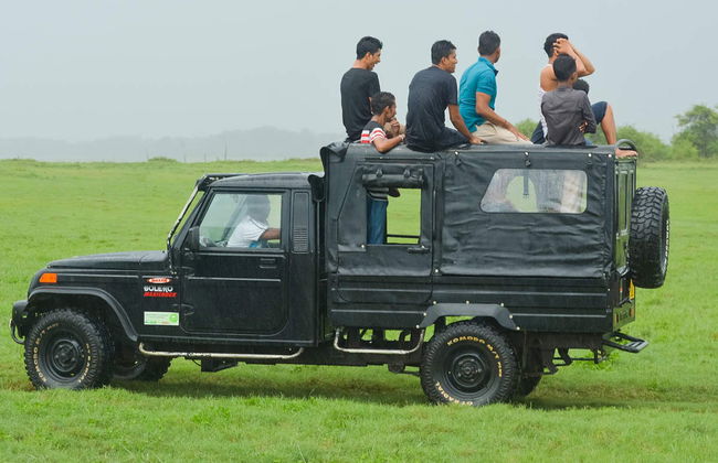 Wilpattu National Park Private Safari - Foto 2
