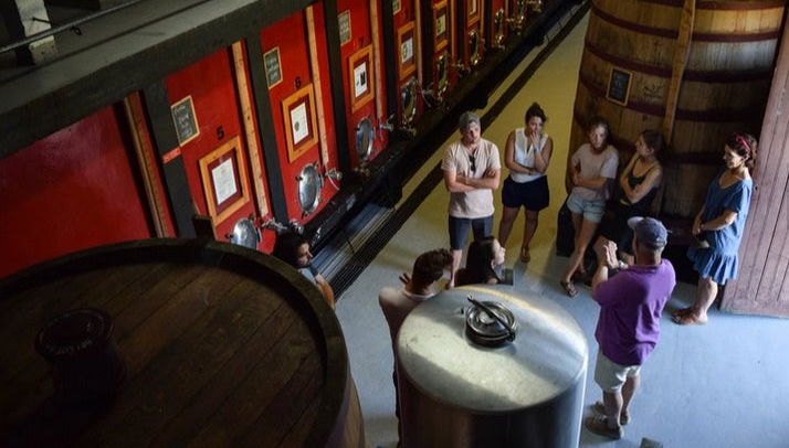 Quinta do Tedo Winery Tour - Photo 1