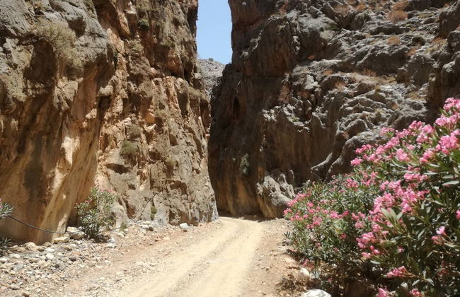 Tour en 4x4 por Asterousia, Agios Myronas y Agios Thomas - Foto 6