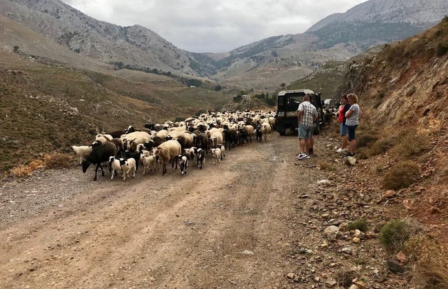 Tour en 4x4 por Asterousia, Agios Myronas y Agios Thomas - Foto 7
