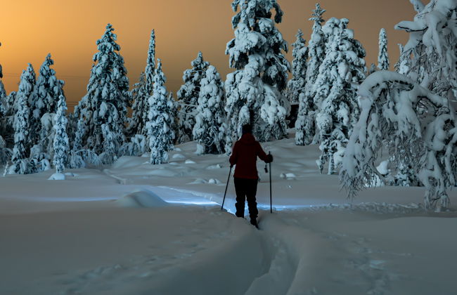 Tour de la aurora boreal en raquetas de nieve - Foto 4
