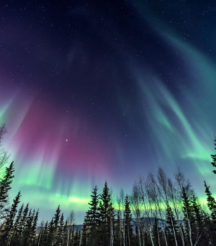 Foto de Tour de la aurora boreal en raquetas de nieve