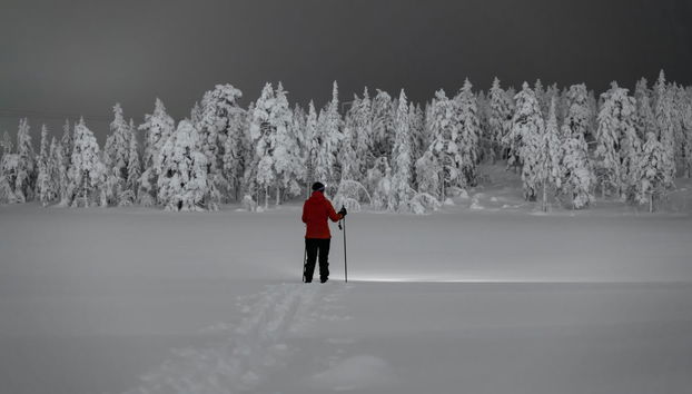 Northern Lights Snowshoeing Tour - Photo 4