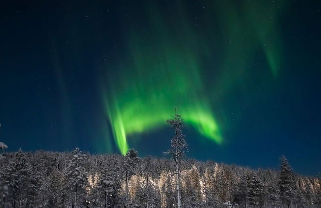 Tour de la aurora boreal en raquetas de nieve - Foto 2
