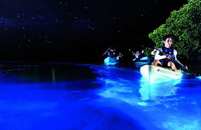 Excursion en kayak à la découverte de la bioluminescence + Observation des étoiles - Photo 2