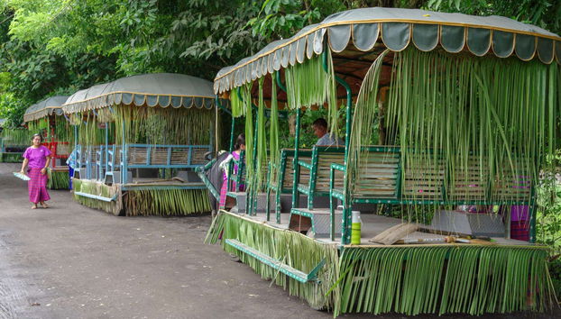 Villa Escudero Plantation Trip - Photo 3