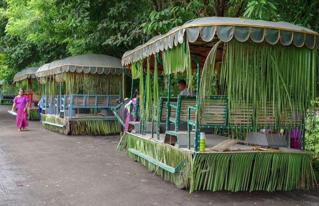 Excursión a la plantación Villa Escudero - Foto 3