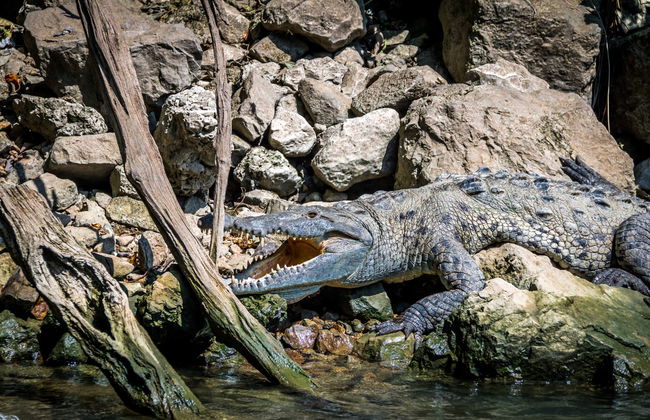 Sumidero Canyon & Chiapa de Corzo Tour - Foto 6