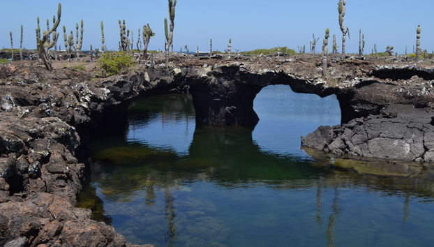 Isabela Island Bike Rental - Photo 5