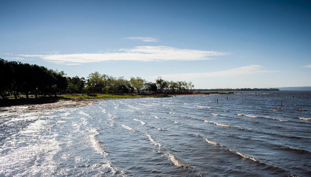 Excursão ao lago Ypacaraí - Foto 3