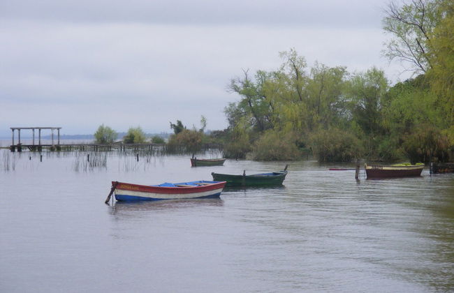 Excursión al lago Ypacaraí - Foto 2