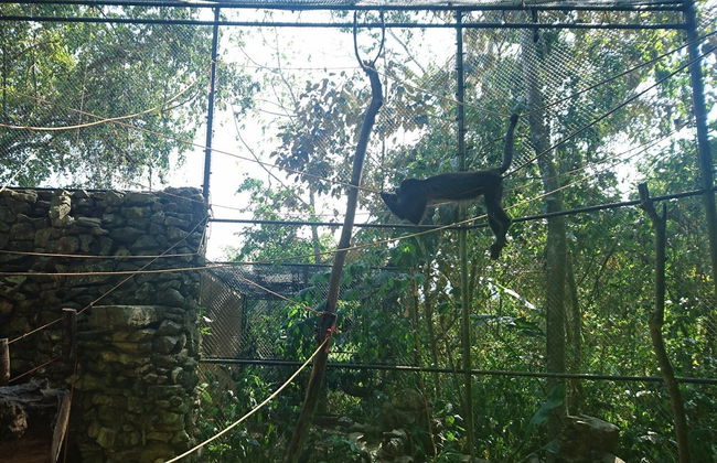 Excursión al Ecoparque Aluxes - Foto 2