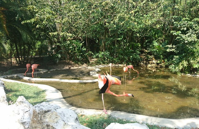 Excursión al Ecoparque Aluxes - Foto 6