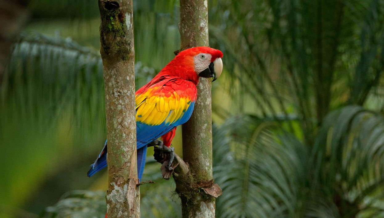 Excursion à l'écoparc Aluxes