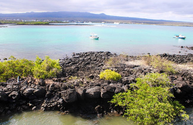 Paseo en barco por Isla Santa Cruz - Foto 4