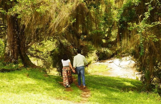 Excursão à Fazenda Esperança - Foto 3