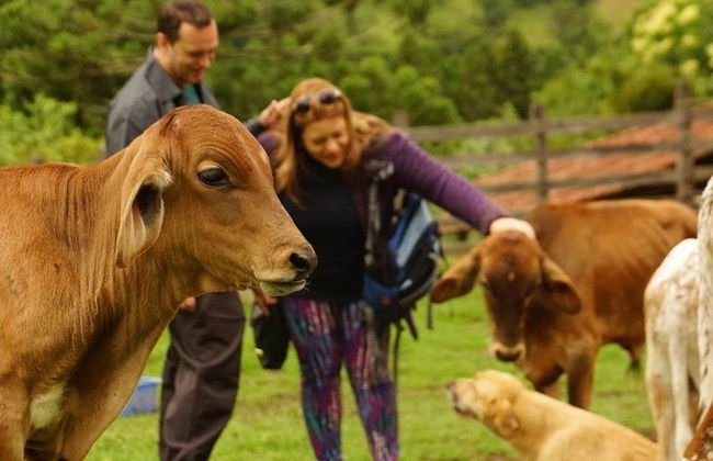 Excursão à Fazenda Esperança - Foto 5