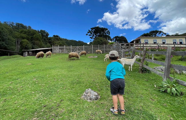 Excursão à Fazenda Esperança - Foto 2