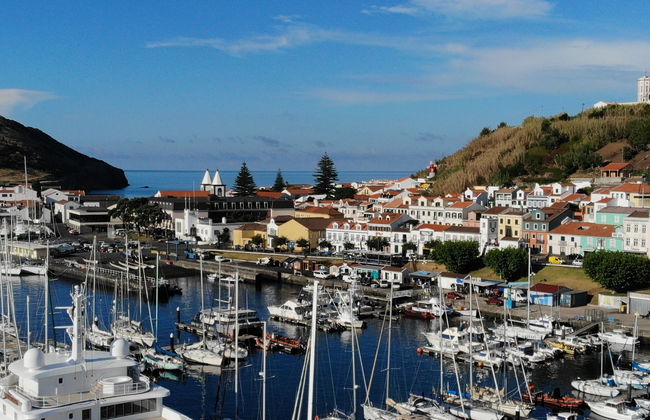 Visite de l'île de Faial à la demi-journée - Photo 1