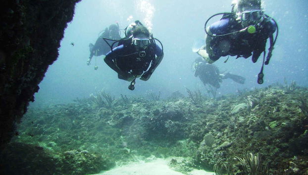 Scuba Diving in Portobelo - Foto 2
