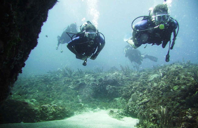 Scuba Diving in Portobelo - Foto 2