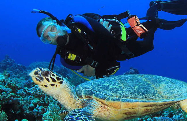 Scuba Diving in Portobelo - Foto 4