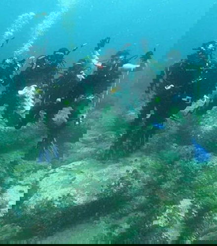 Foto de Buceo en Portobelo
