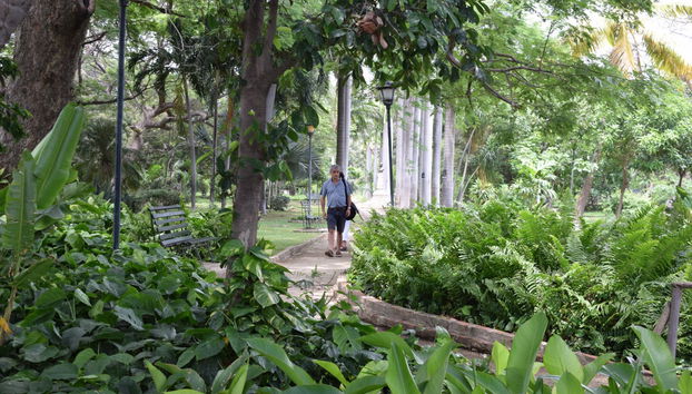 Excursión a Santa Marta y Barranquilla - Foto 4