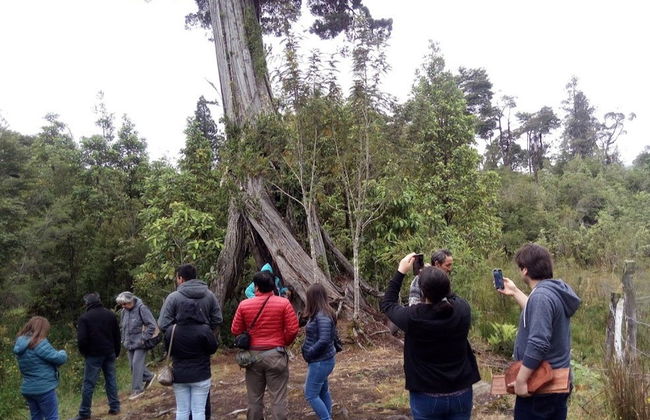 Tour of Carretera Austral Villages - Foto 6