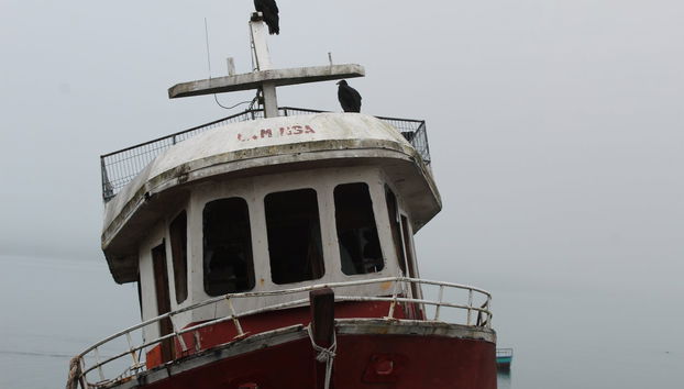 Tour of Carretera Austral Villages - Foto 5