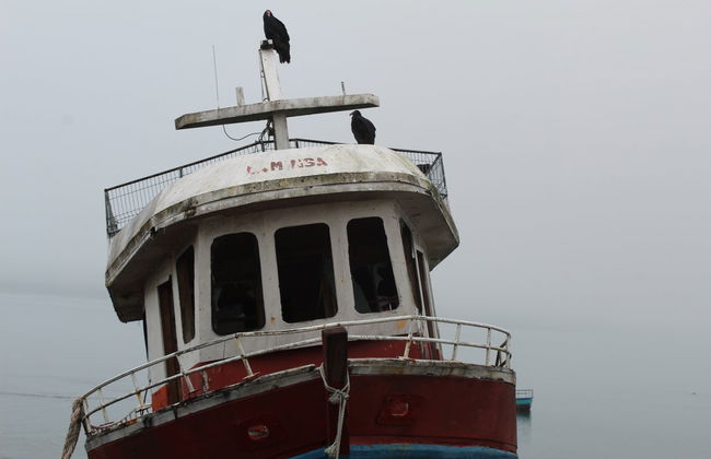 Tour of Carretera Austral Villages - Foto 5
