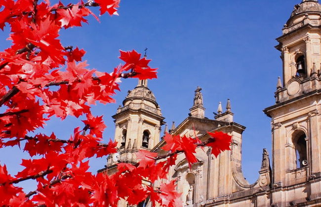 Bogotá Private Tour - Foto 8