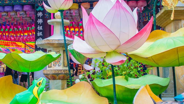 Visite complète de Séoul avec billets - Photo 5